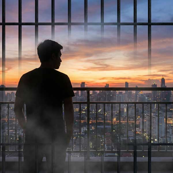 Alternative Sentencing Programs Michigan